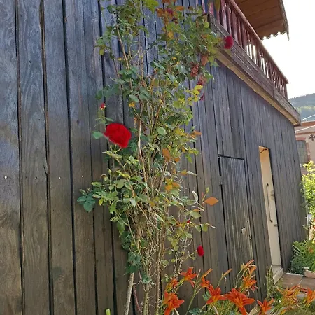 Apartamento Cap Vosges 3 Etoiles, Jeux Et Balneo, Entre Vosges Et Alsace Plainfaing