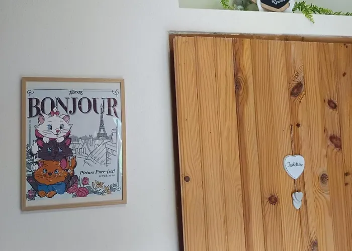 Cap Vosges 3 étoiles, Jeux Et Balnéo, Entre Vosges Et Alsace Appartement Plainfaing