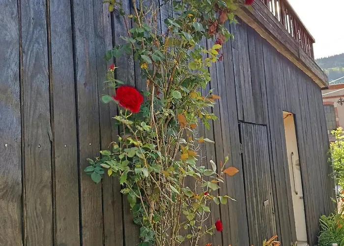 Appartement Cap Vosges 3 étoiles, Jeux Et Balnéo, Entre Vosges Et Alsace Plainfaing