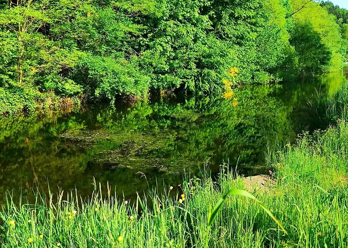 Cap Vosges 3 étoiles, Jeux Et Balnéo, Entre Vosges Et Alsace Appartement Plainfaing